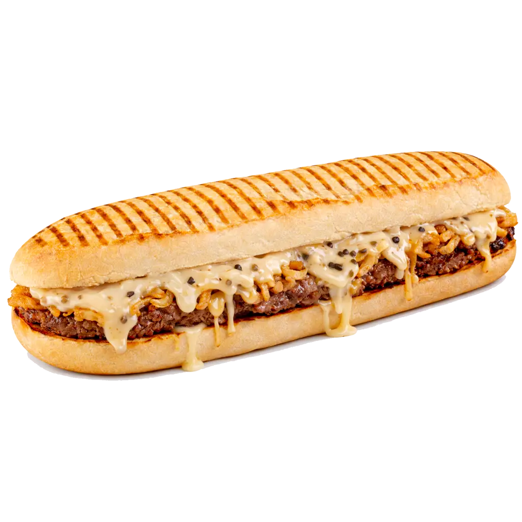 PANINIS fondu