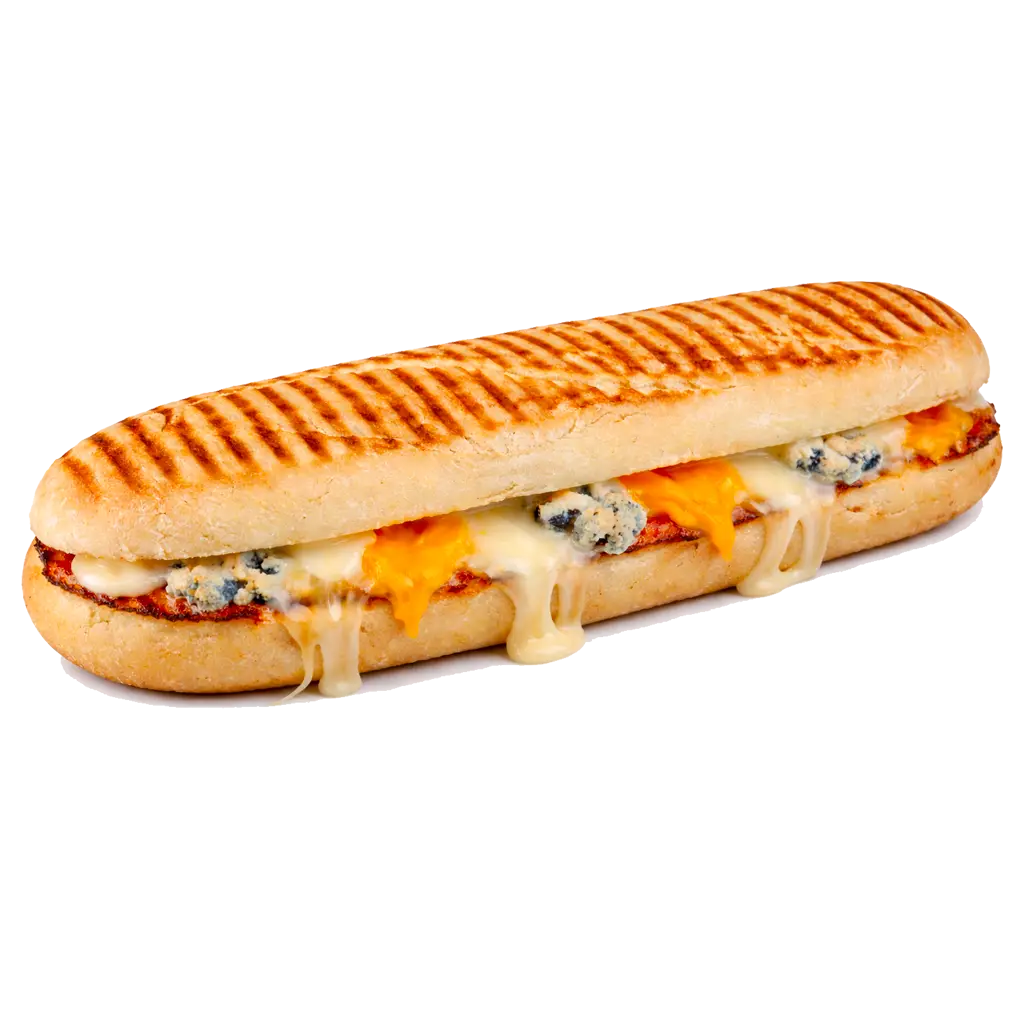 PANINIS from
